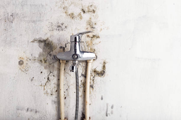 Best Mold Testing  in Lemon Grove, CA