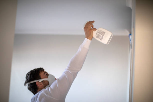 Best Mold Removal Company Near Me  in Lemon Grove, CA