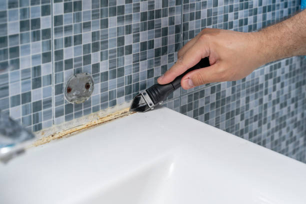 Home Mold Removal in Lemon Grove, CA